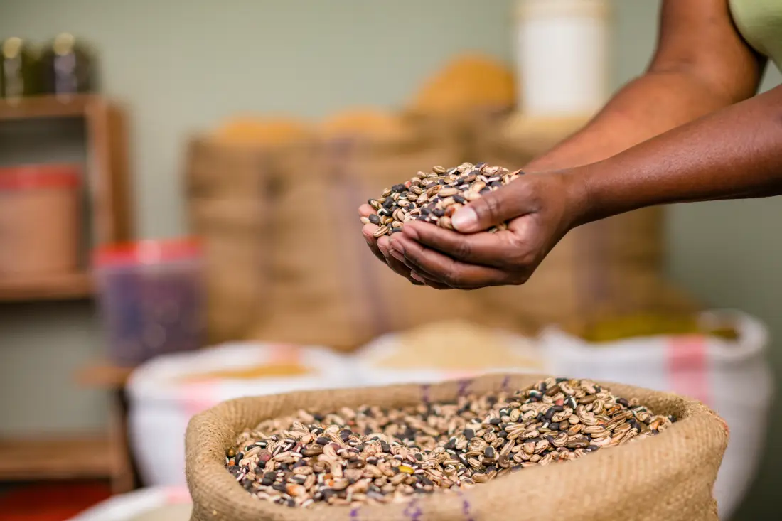 How Regional Politics & Pipelines Affect Trade: Recent Developments to Watch